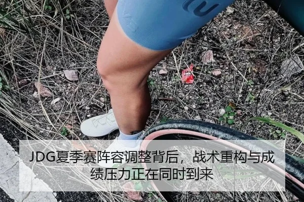 JDG夏季赛阵容调整背后，战术重构与成绩压力正在同时到来